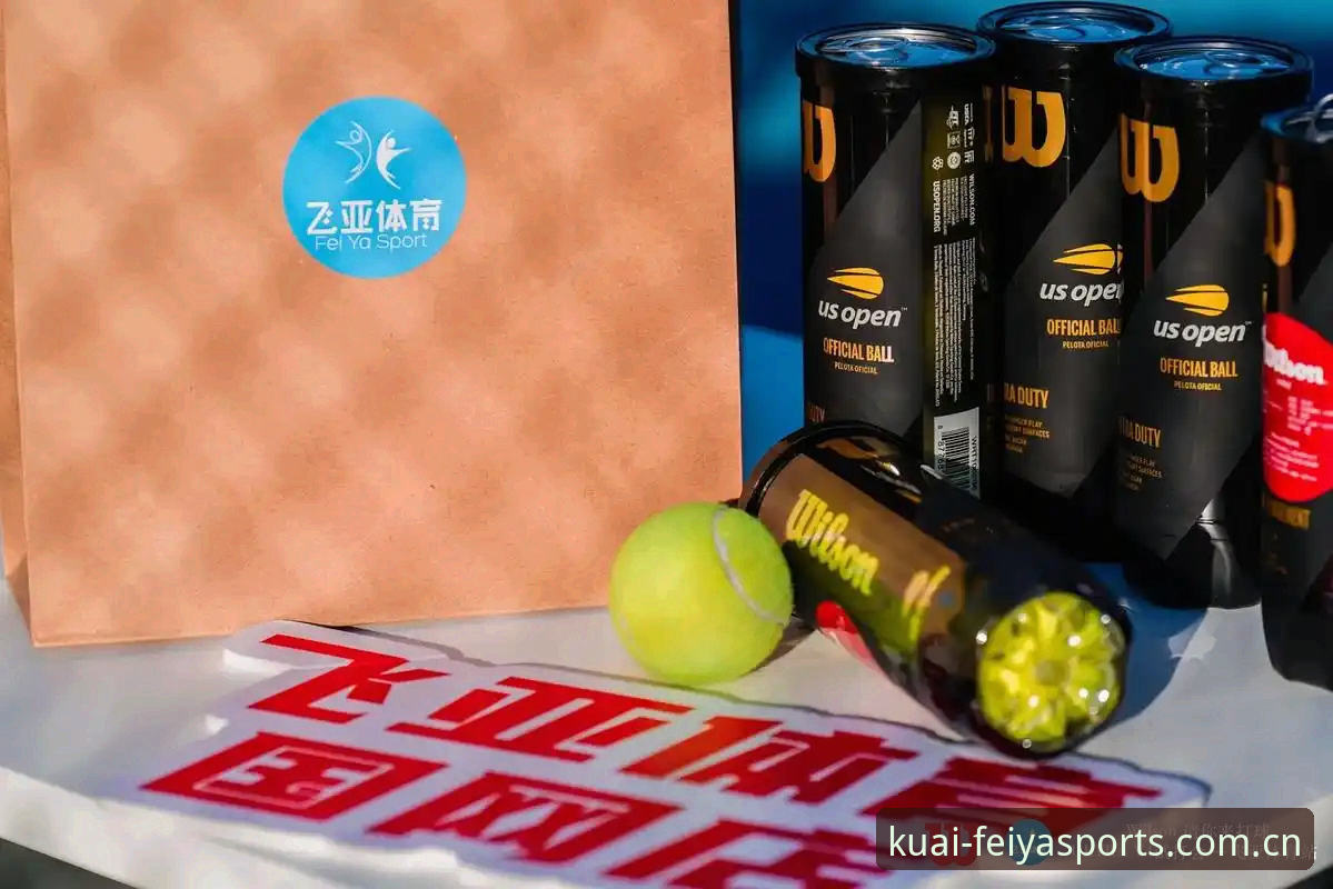 飞亚体育稳定通道 飞亚体育官网访问完整指南:稳定通道的使用心得与技巧