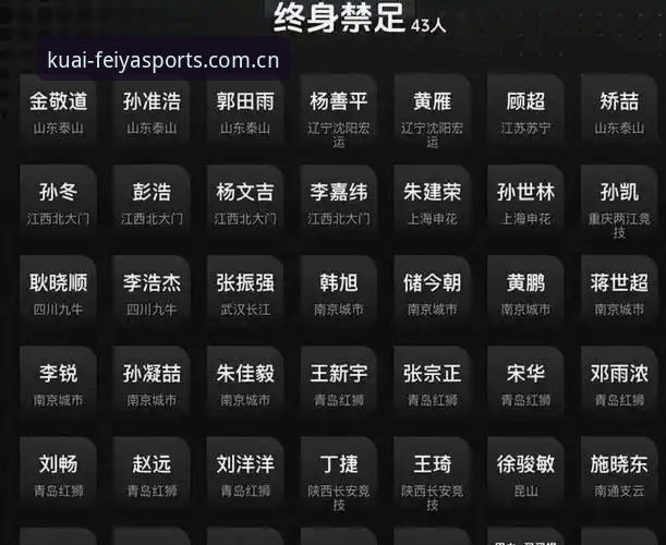 飞亚体育官方平台 中国足协第三批禁足名单完整解读指南:从高管到球员的行业净化行动